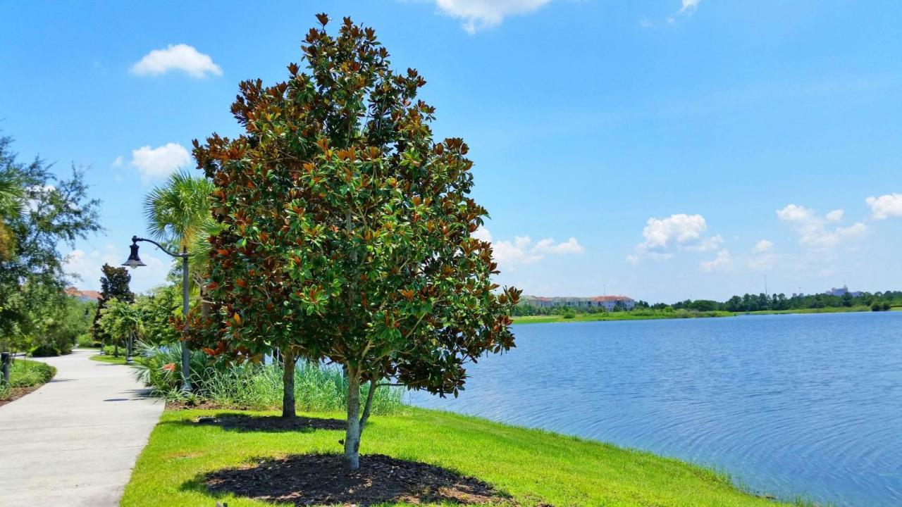 Newly Updated Condo W Scenic Resort View Orlando Eksteriør bilde